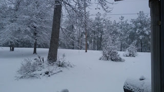 Snowfall in Douglasville GA, by Jasmine Scott