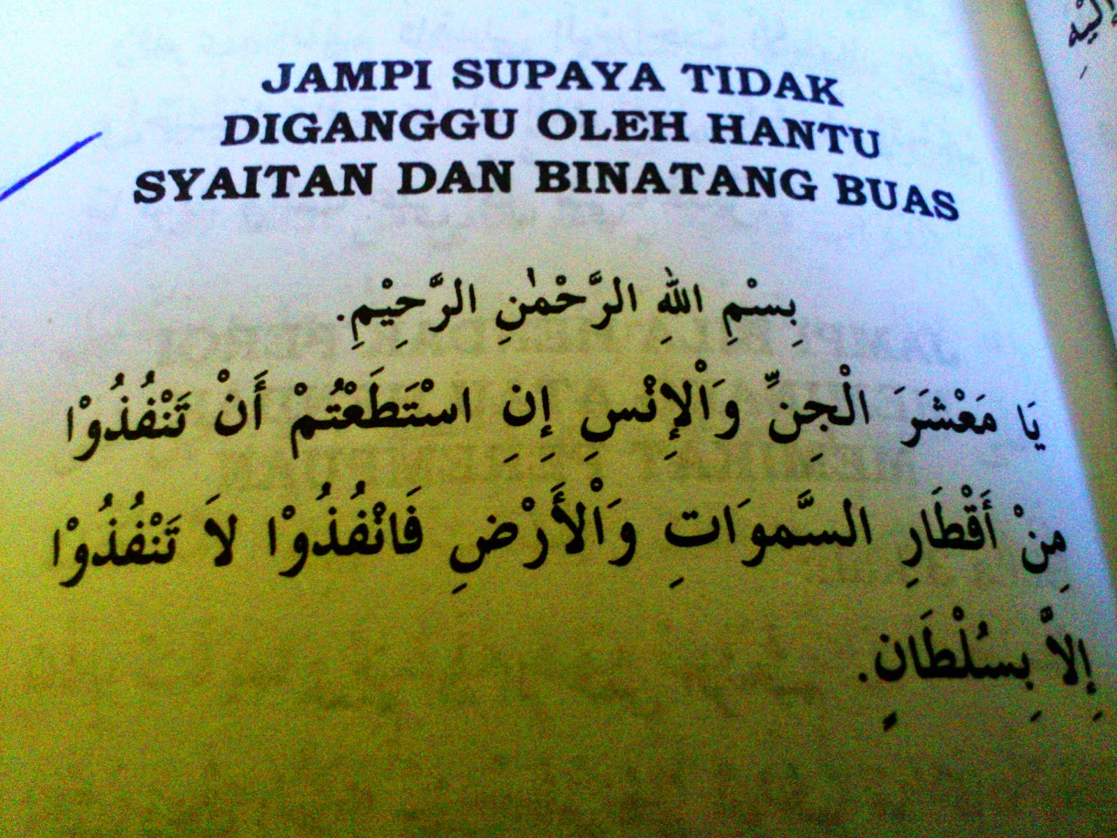 Dna3jendral December 2014