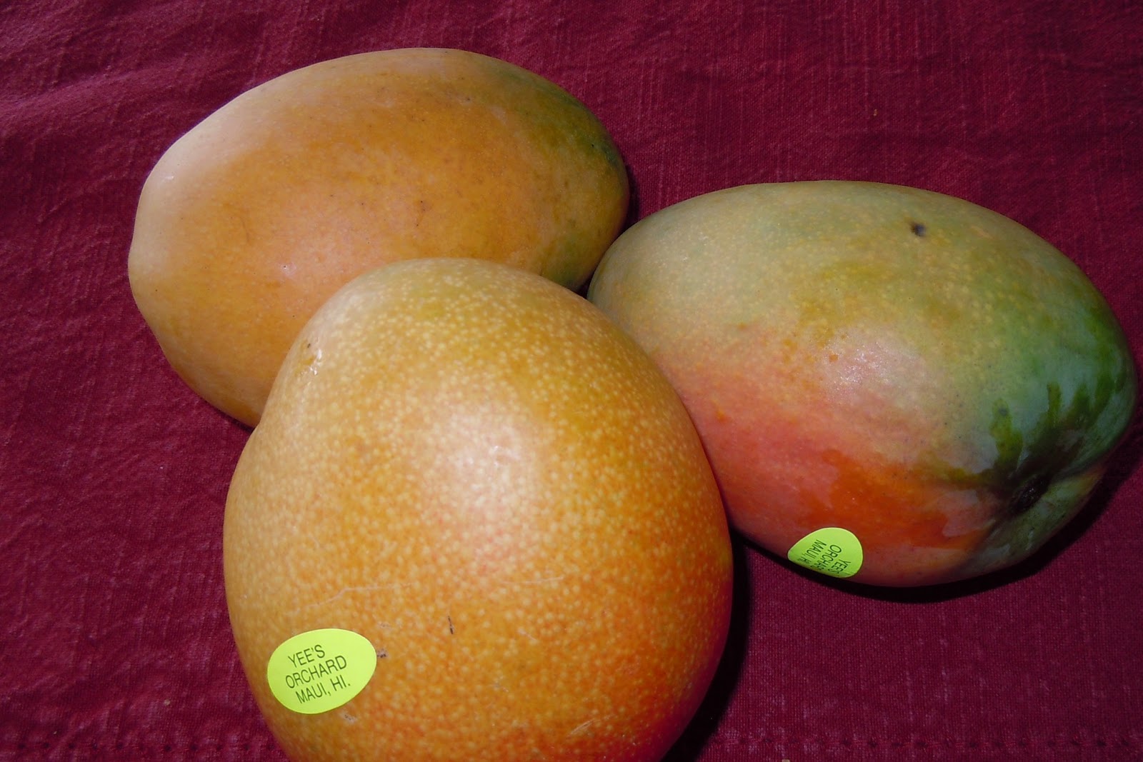 Maui Oceanview Condos The bestest mangoes on Maui!