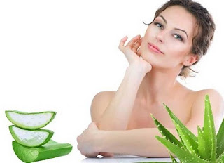 Cara Penggunaan Lidah Buaya Untuk Wajah Agar Putih Dengan Cepat