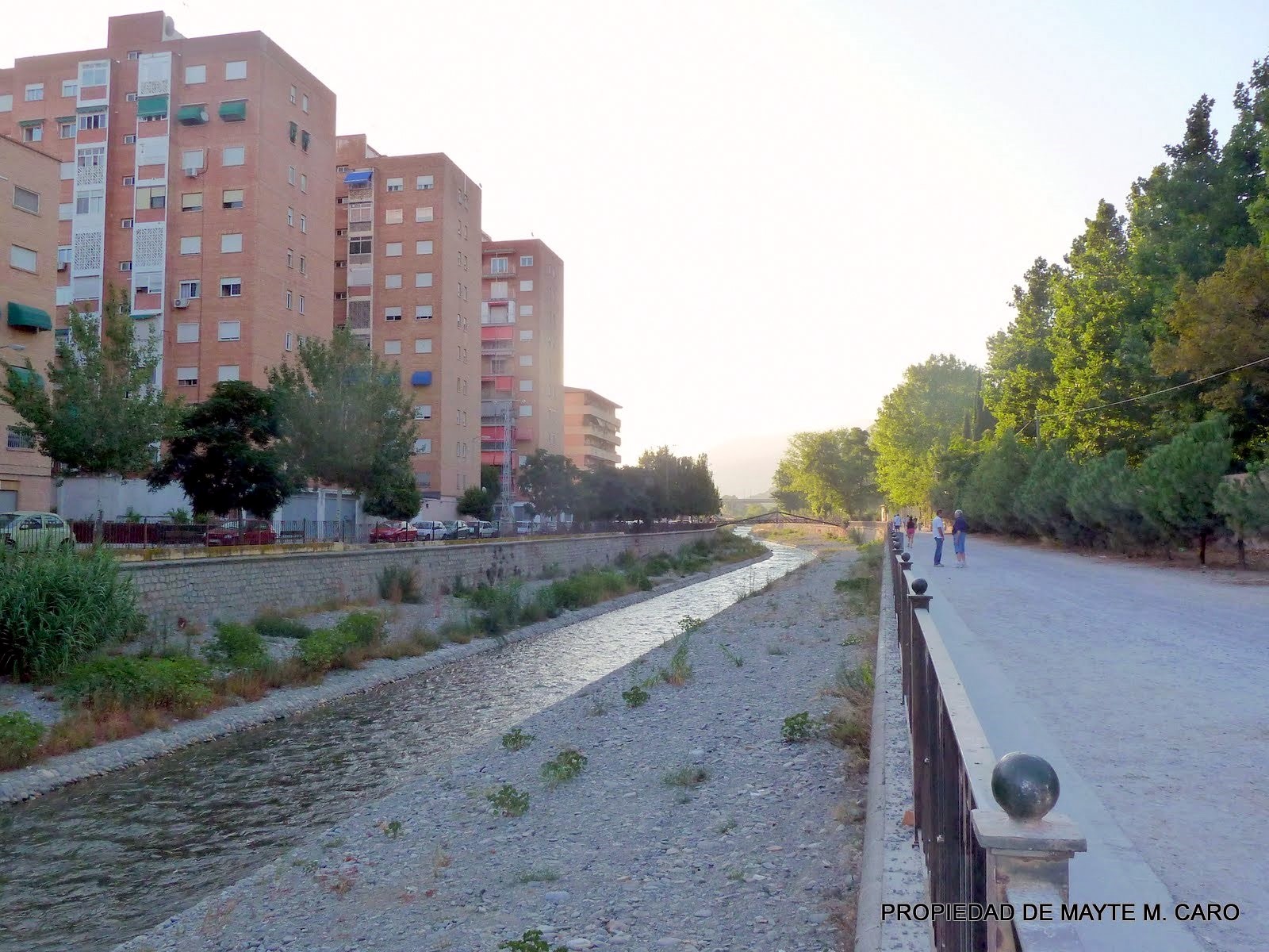 FUENTES EN GRANADA: Nuestro rio Genil a su paso por la ciudad.