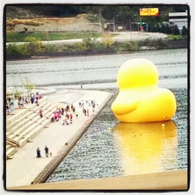 giant rubber duck in river