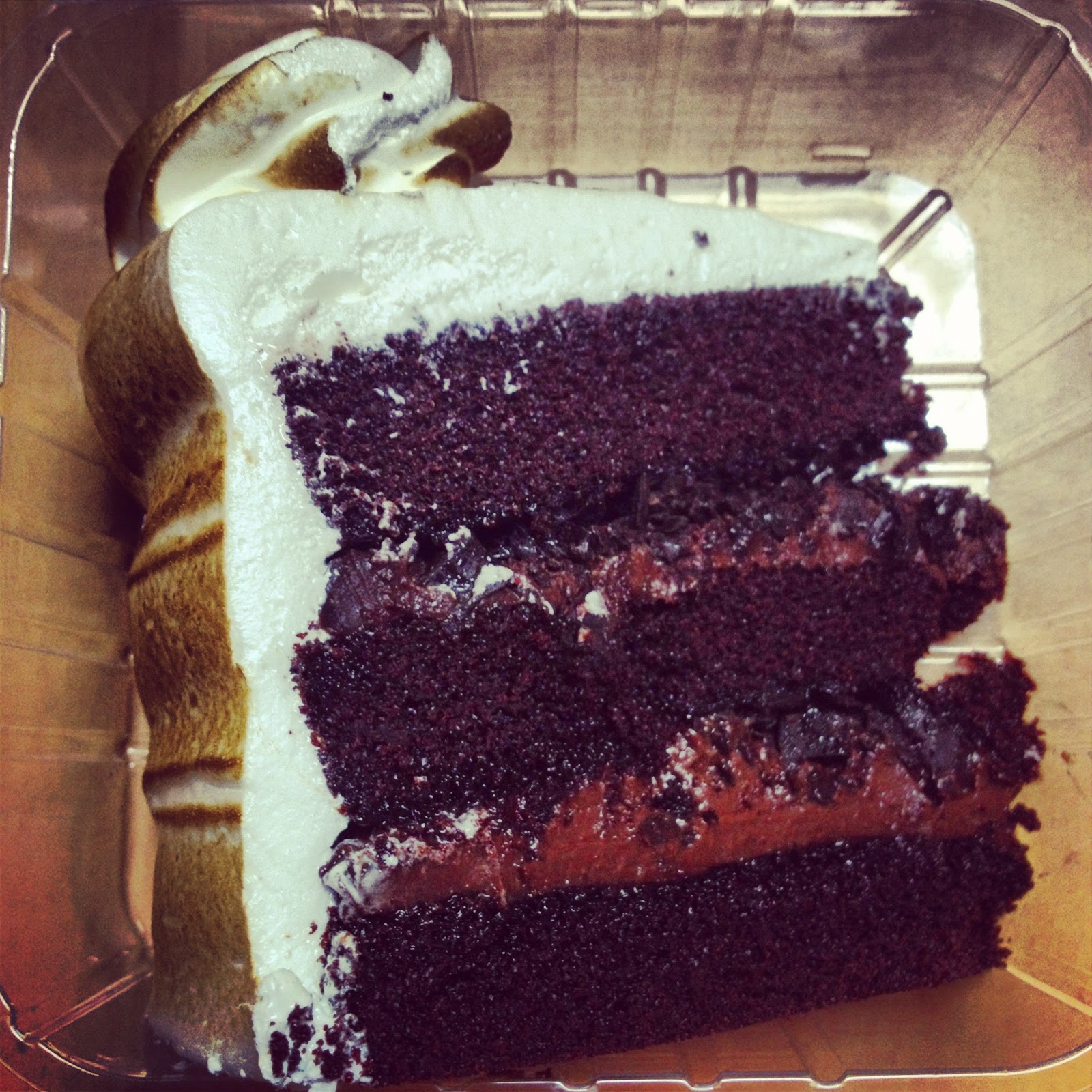 BURGEROGRAPHY: Subspace's Chocolate Campfire Cake