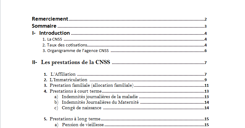 Pdf Exemple De Rapport De Stage Cnss