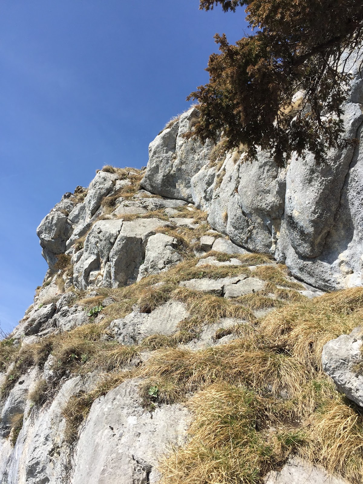 Riemannhaus Breithorn Peter Wiechenthaler Hutte Steinernes Meer