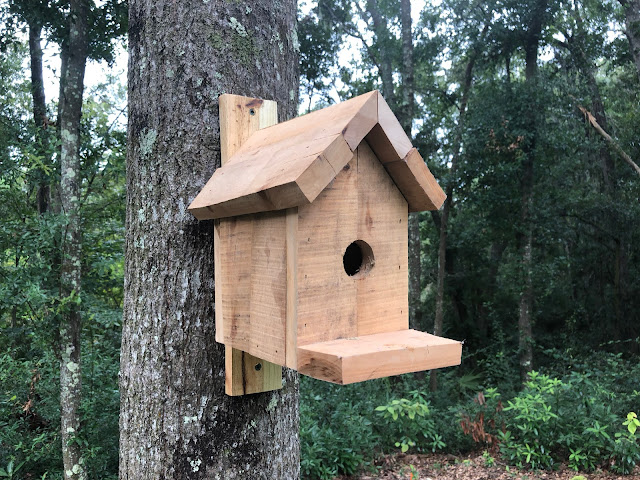 Simple birdhouse in the woods | The Lowcountry Lady