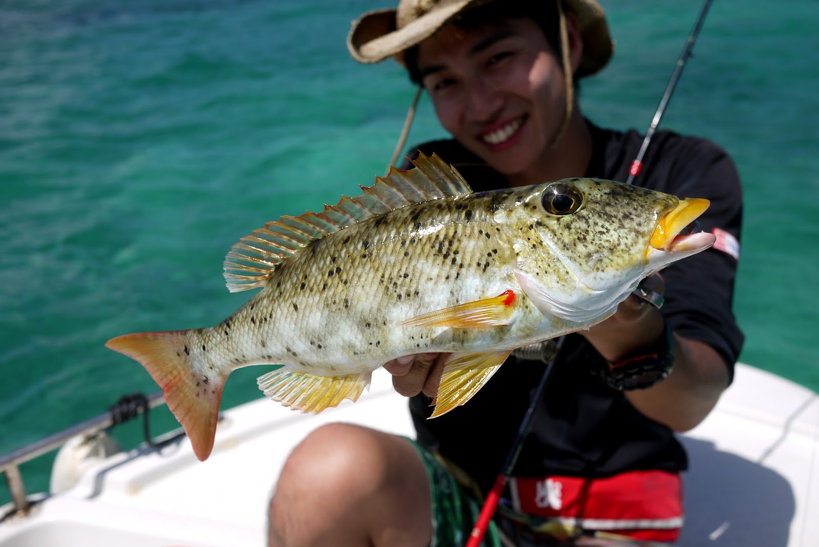 Minister of Defense of the night 俺のコバンザメはどこや…！？