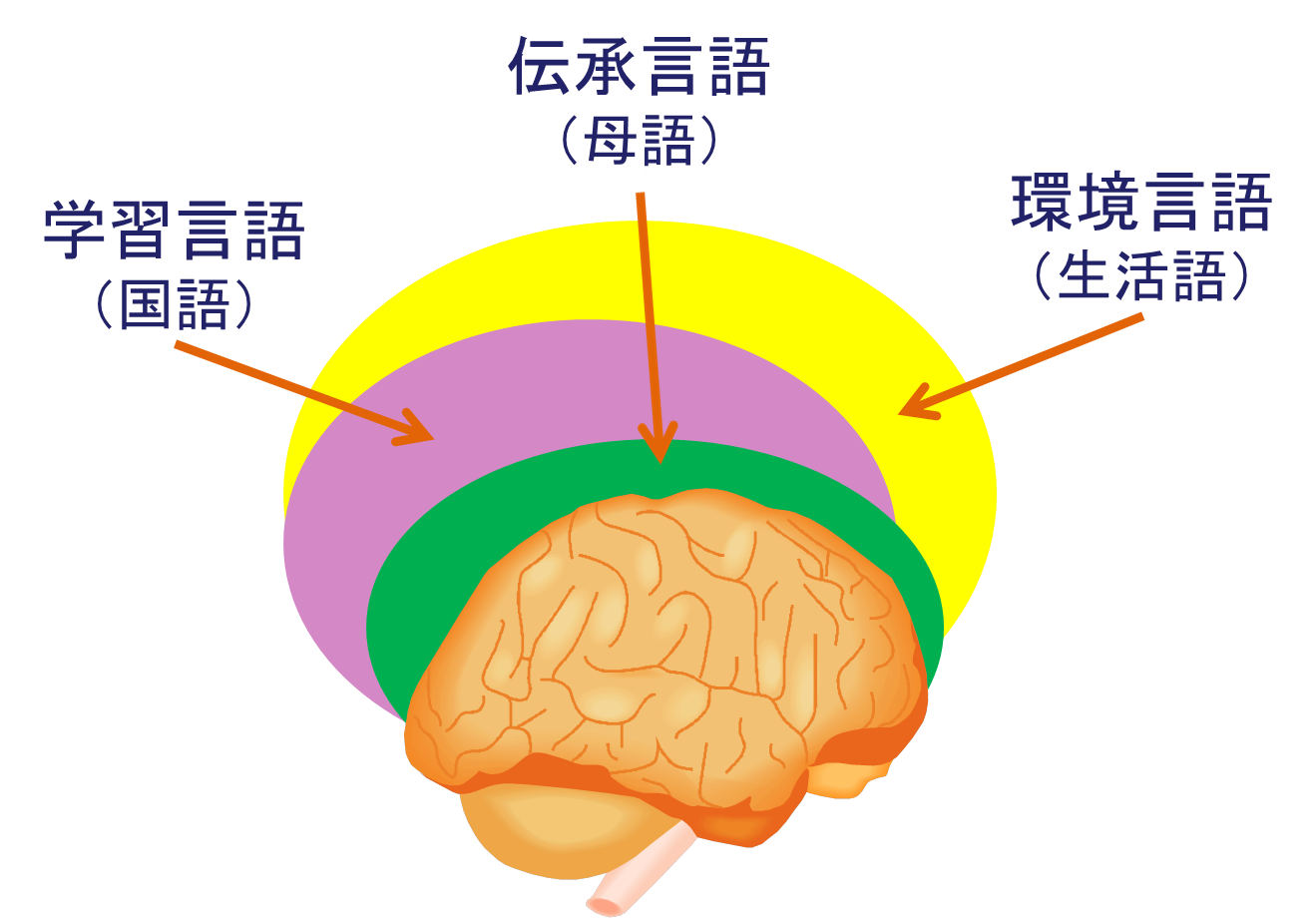 自然界に存在する5つの興味深い防御メカニズム
