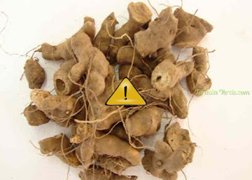 Contraindicações do Nó-de-cachorro Contraindicações do Nó-de-cachorro