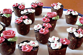Cake Pops Blumentöpfe