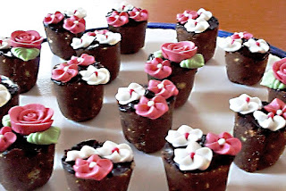 Cake Pops Blumentöpfe