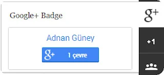 Google+ Badge