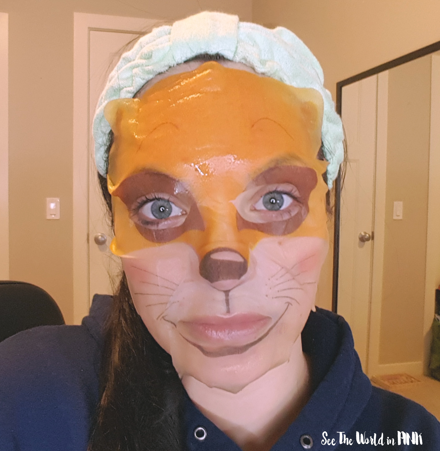 Skincare Sunday #CBBGetsSheetFaced Dermal xilix animal aqua fox mask