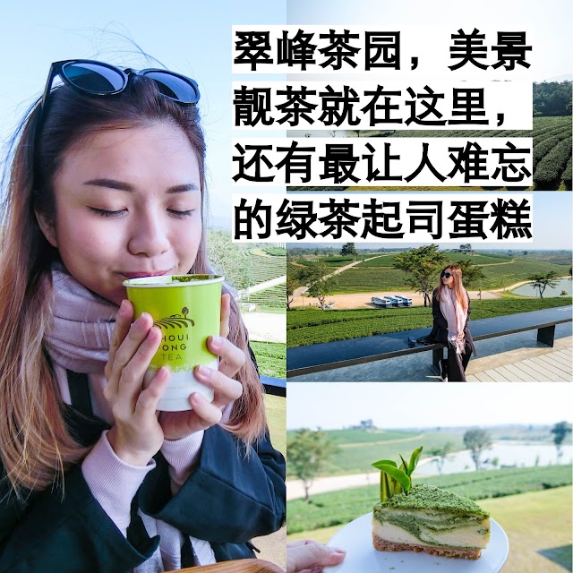 清莱之景点翠峰茶园 Choui Fong Tea Plantation，美景靓茶就在这里，还有让人难忘的绿茶起司蛋糕♥