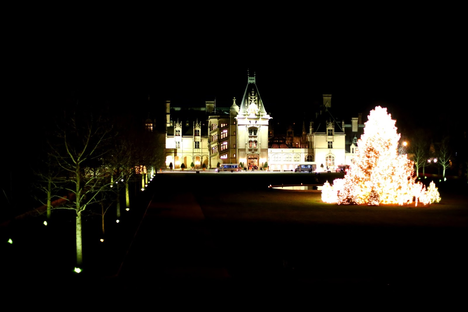 House at Forest Manor Biltmore House, Part 2