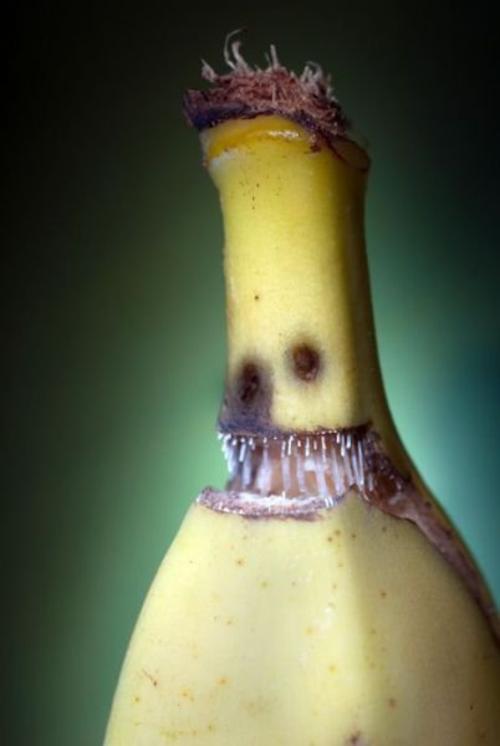 My Life As A Zombie Creepy Banana