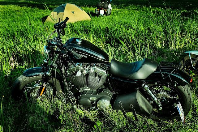 Harley Davidson Bike on Grass Harley Davidson Bike on Grass