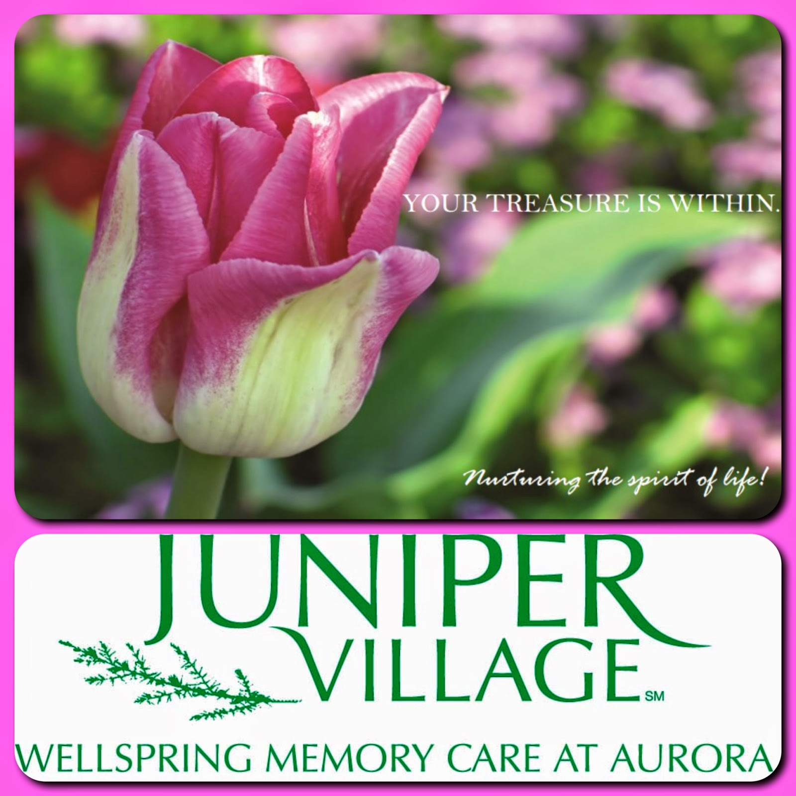 Juniper Village At Aurora March 2015 Events In Aurora CO Your juniper-village-at-aurora-march-2015-events-in-aurora-co-your