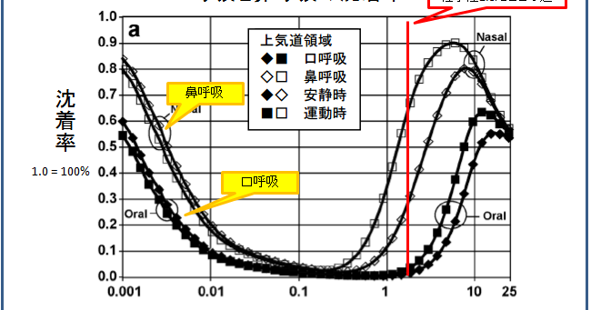 イナビル 効果 期間