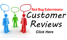 Toronto Bed Bug Exterminator Reviews