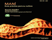 Maní o cacahuete - Guía práctica para su cultivo | INTA maní-o-cacahuete-guía-práctica-para-su-cultivo