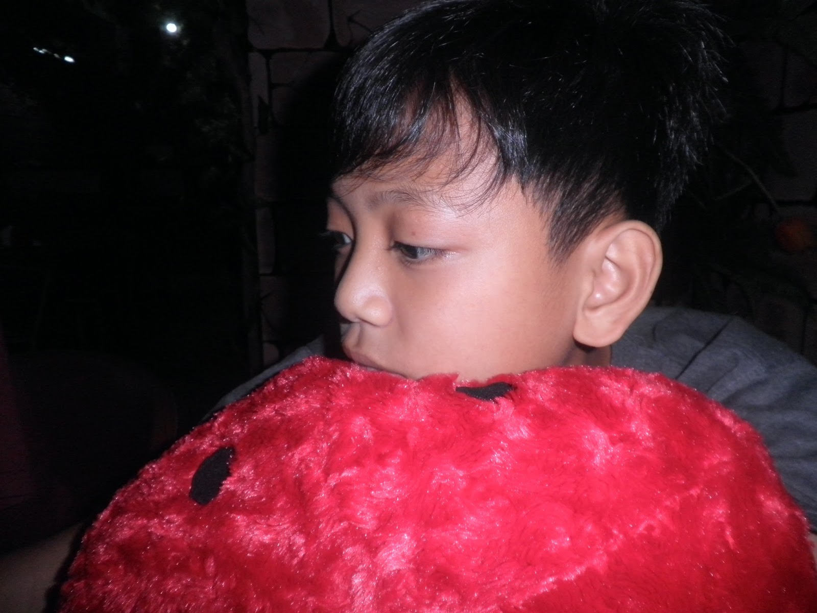 disakurniadewi: Februari 2013