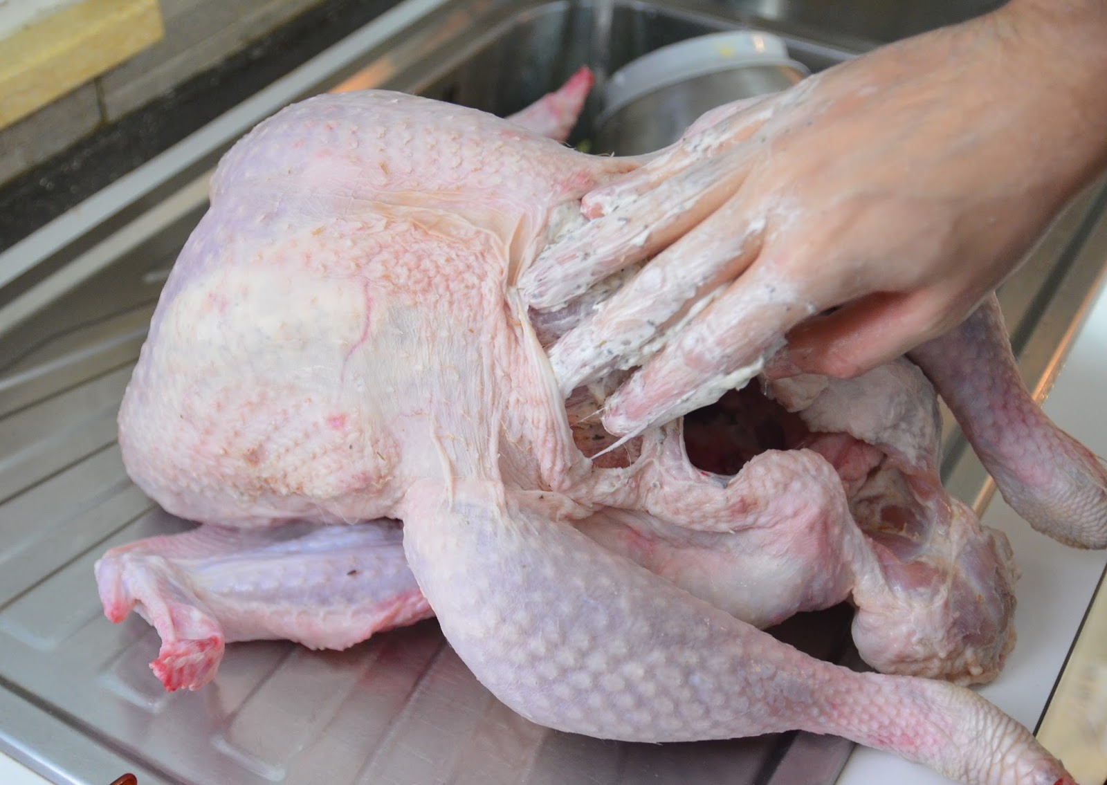 Thanksgiving Turkey (Tacchino del Ringraziamento ripieno di castagne ...