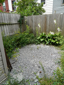 Little Portugal garden cleanup Paul Jung Gardening Services Toronto before