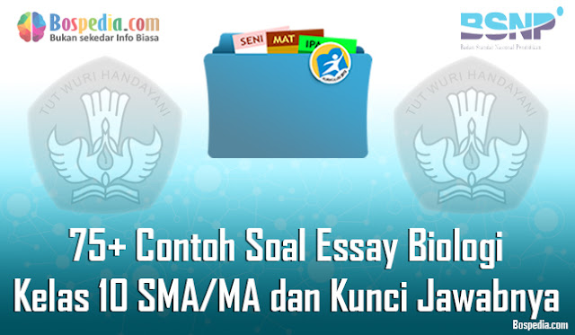 Contoh soal matematika picture