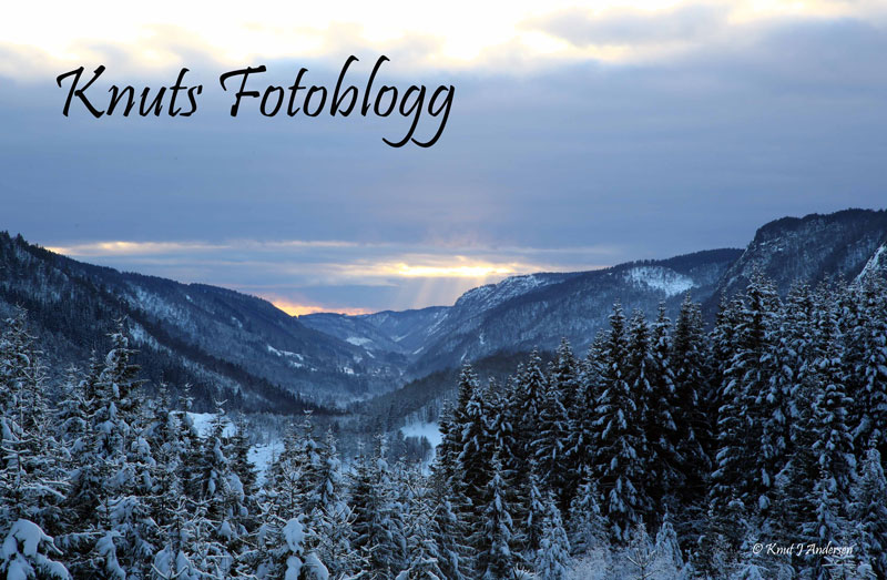 Knuts fotoblogg