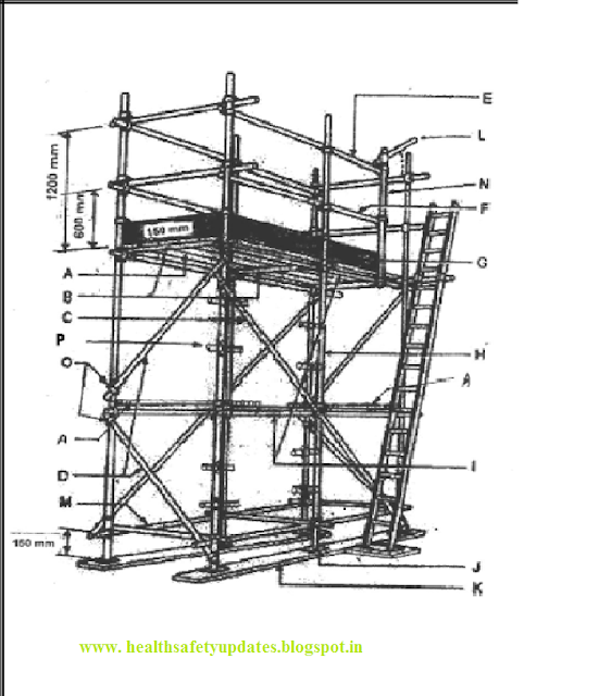 Basic Scaffolding Questions with Answer