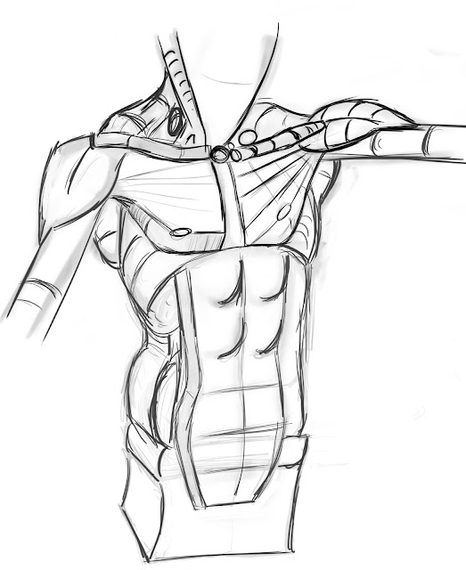 [Image: male+torso+study.jpg]