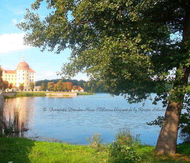 Schloss Moritzburg bei Dresden