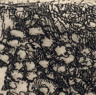 Nadal News 2 0 Page 448 Talk Tennis