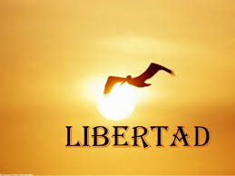 Liberdade