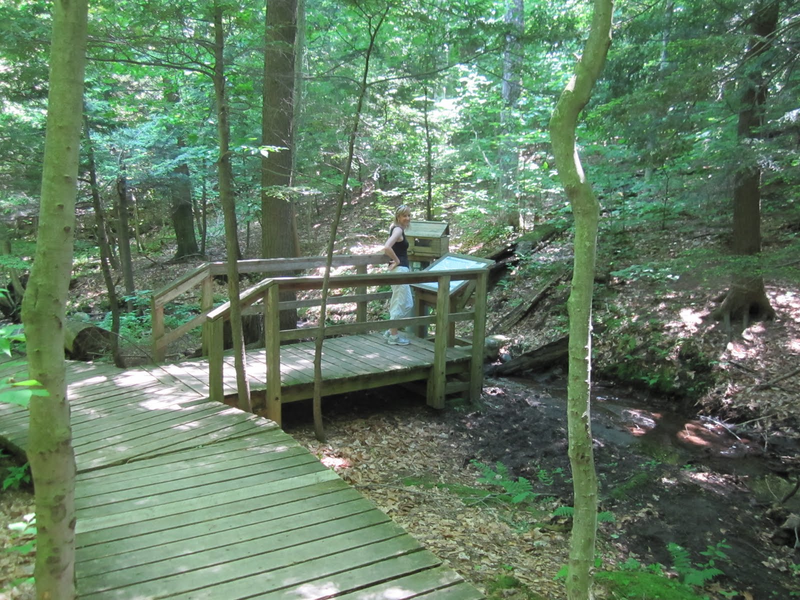 Asthma and the Gift of Running Mont StHilaire...lovely trails!