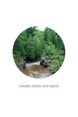 woodland stream breathe deeply and repeat