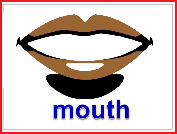 Kindergarten Worksheets Parts Of Body Flashcards Mouth kindergarten-worksheets-parts-of-body-flashcards-mouth