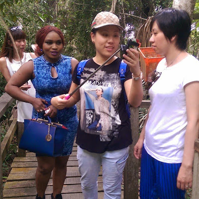 halima abubakar