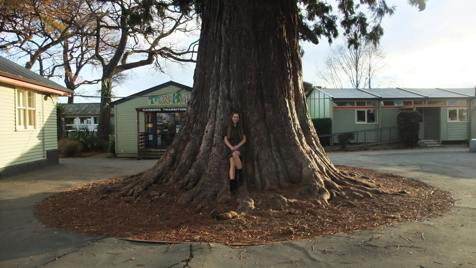 Voyage diary: Rangiora High School - Term 2