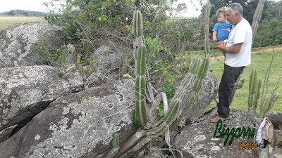 Bizzarri, da Bizzarri Pedras, com seu neto Theo, escolhendo pedras ornamentais para a execução de paisagismo com pedras e as construções de lagos ornamentais.