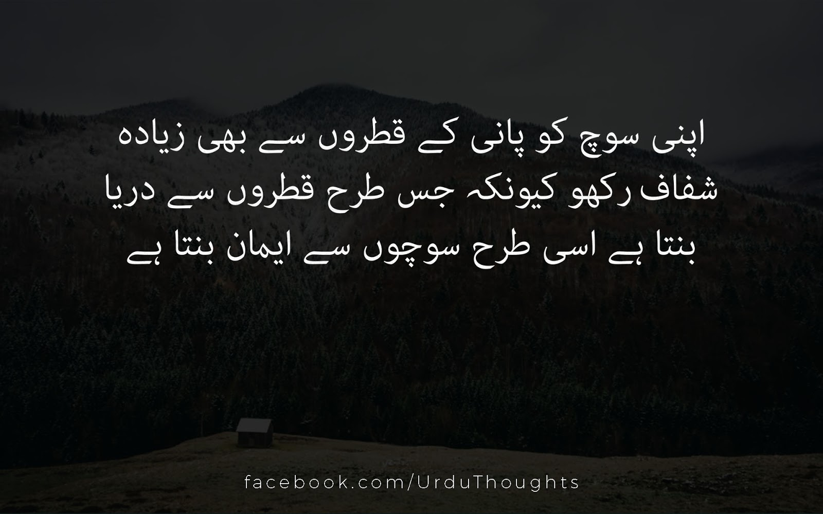15 Beautiful Quotes In Urdu About Love - Life - People | Urdu Thoughts