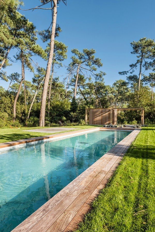 The perfect replica of the pine wood