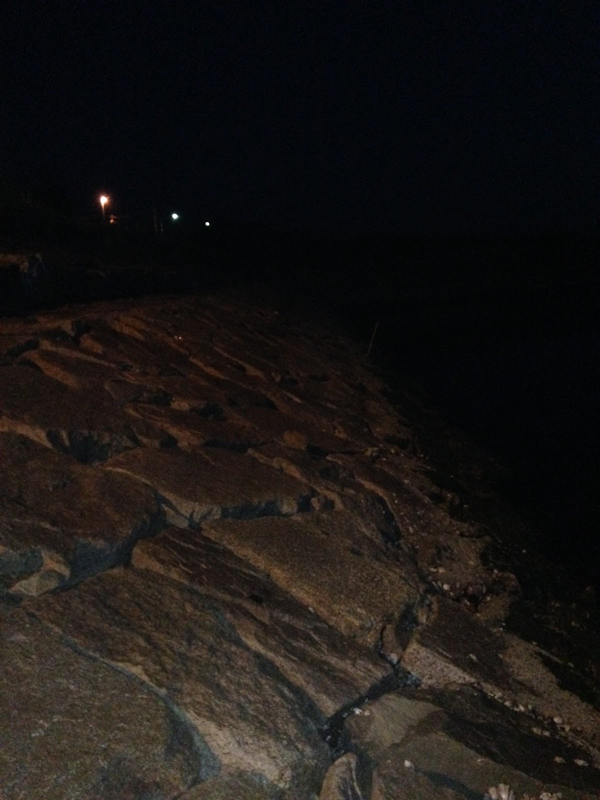 姫路 神戸 淡路の釣りブログ 6月 17