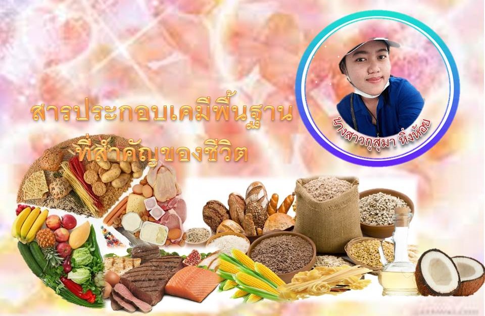 สารประกอบเคมีพื้นฐานที่สำคัญของชีวิต