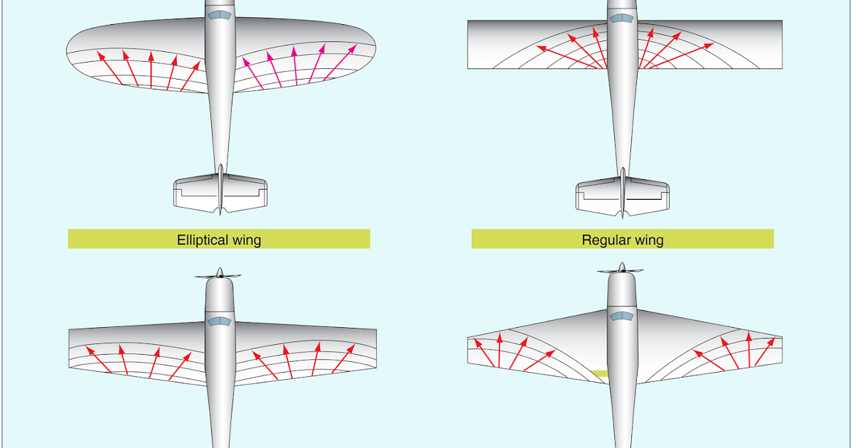 Effect of Wing Planform Aerodynamics of Flight Aircraft Systems
