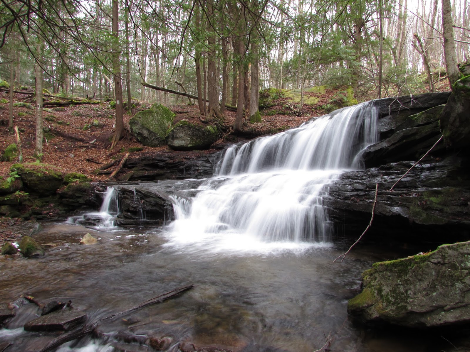 Logan Falls, Allegheny National Forest, Marienville, PA, Forest County