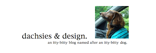 dachsies & design