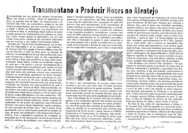 Jornal de Noticias de Trás-os-Montes e Alto Douro, edição número 98, dezembro 2006