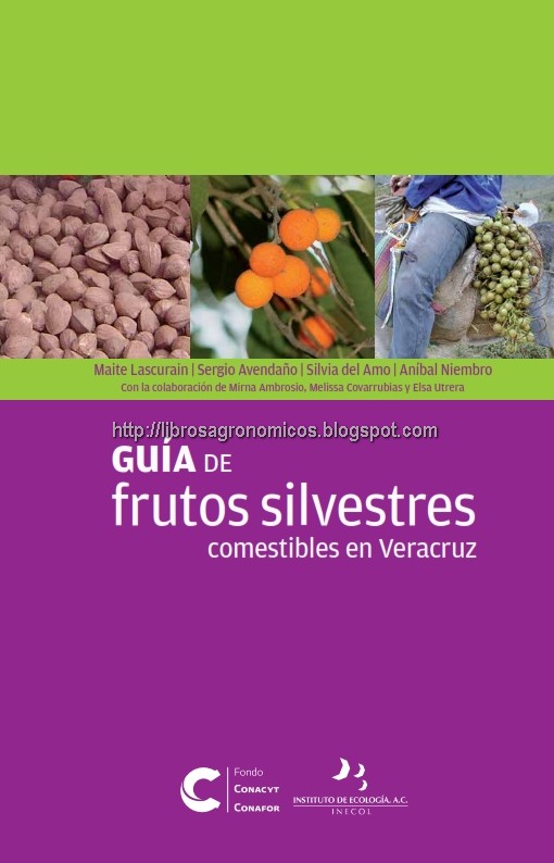 Guía de frutos silvestres comestibles en